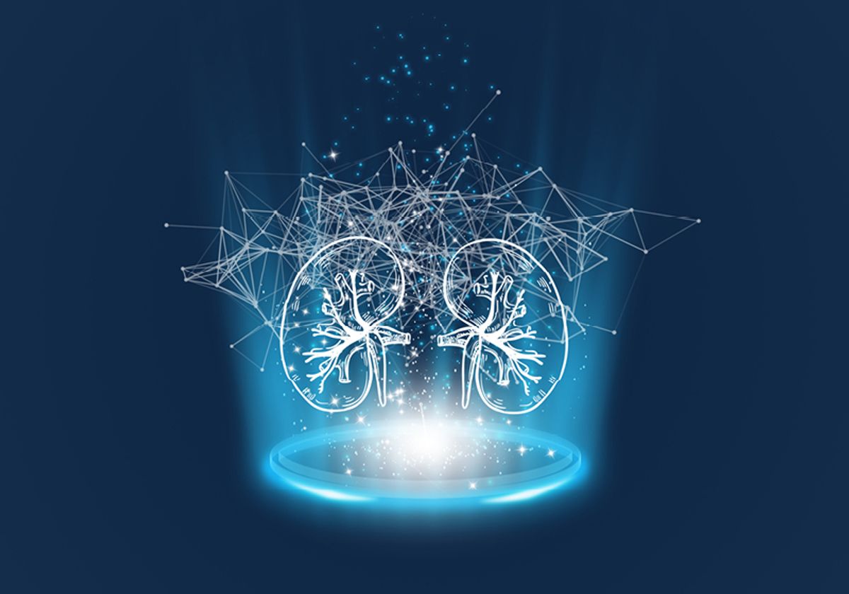 A graphic showing a hologram of the kidneys outlined in white and in the midst of blue light.