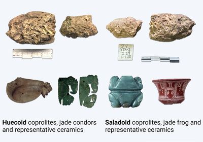 On the left are coprolites, jade condors and brown ceramics from the Huecoid culture, on the right are coprolites, a jade frog, and red and white ceramics from the Saladoid culture.