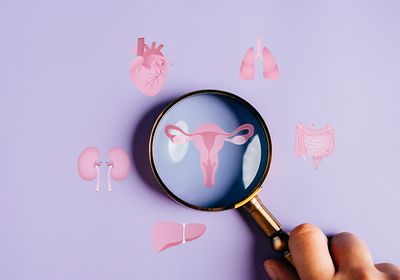 A magnifying glass over an illustration of the uterus, surrounded by other organ illustrations.