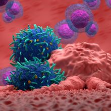 3D rendered immune cells attacking a cancer cell, with stem cells in the background.