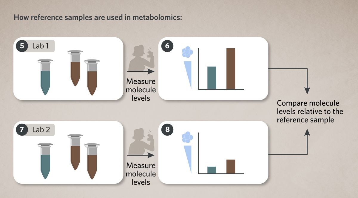 Illustration shows how researchers can use NIST reference samples in their metabolomics experiments.