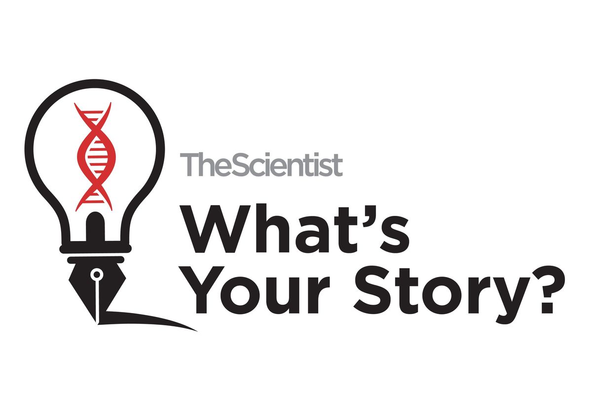 What's Your Story logo