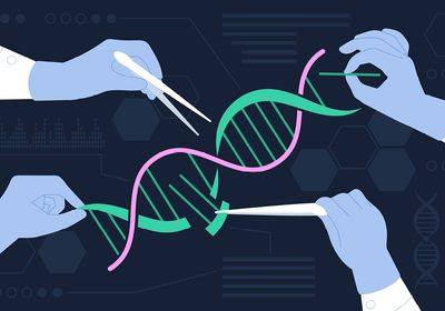 Conceptual vector illustration depicting CRISPR gene editing by scientists for medical applications.