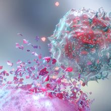 Discover How to Develop, Optimize, and Scale a Protocol for Generating Genetically Modified NK Cells