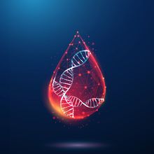 Conceptual wireframe image of DNA inside a drop of blood drop on a dark background.