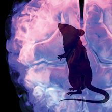 Mouse silhouette in a brain image