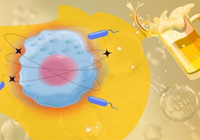 A blue immune cell with a red halo sits in the middle of a yellow spill from a tipping beer mug to the right. Blue bacteria surround the cell.