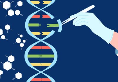 Avoiding Gene Editing&rsquo;s Unintended Consequences 