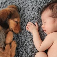 a baby and a puppy asleep on carpet