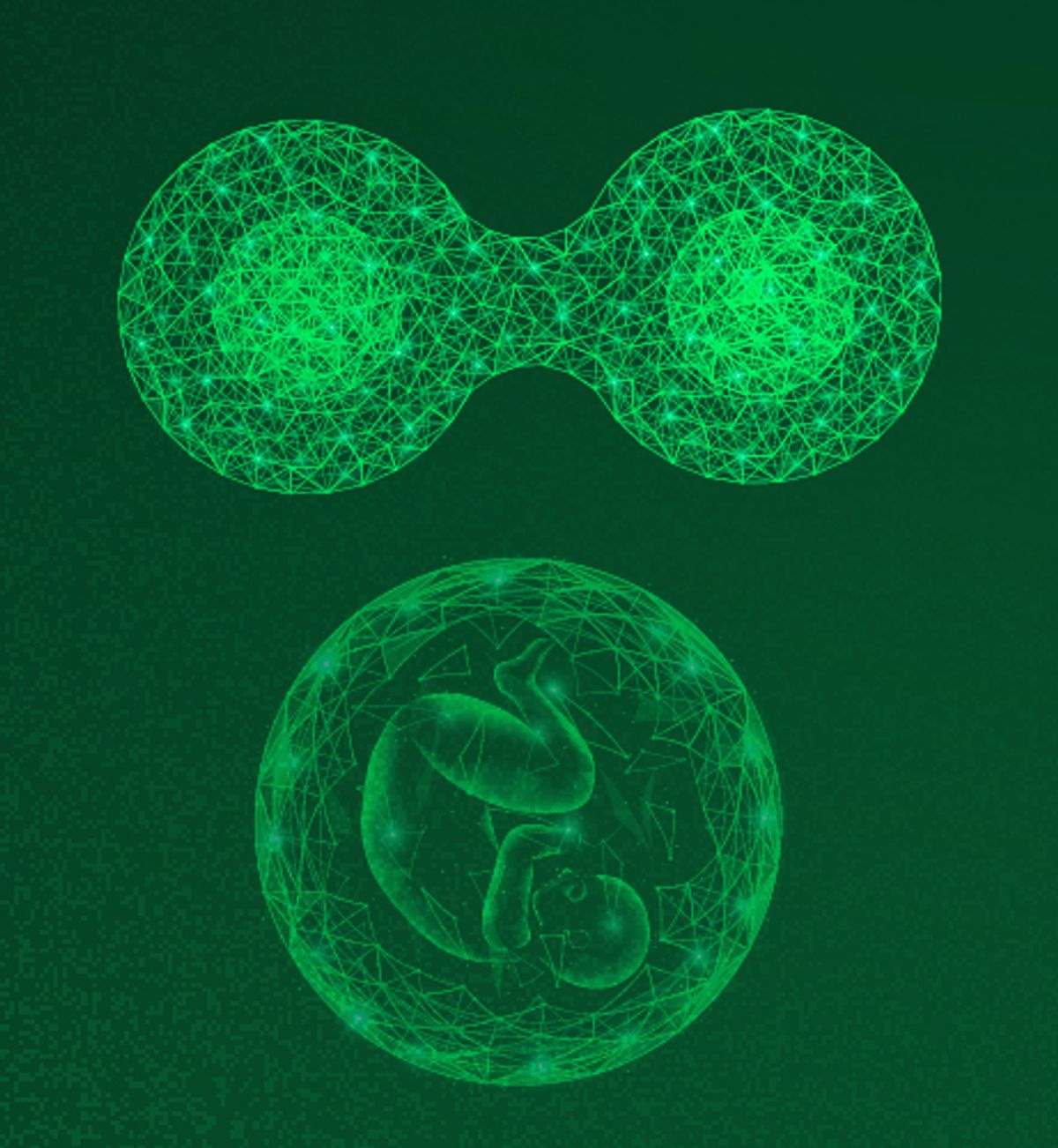 Image of cells dividing and a human embryo 