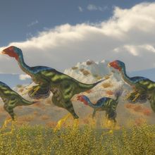 Caudipteryx Dinosaur Flock stock photo
