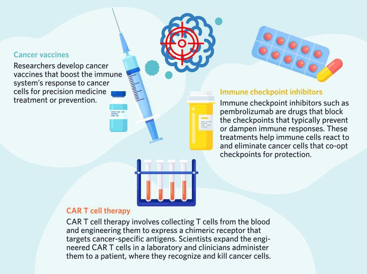 Cancer vaccines: Researchers develop cancer vaccines that boost the immune system’s response to cancer cells for precision medicine treatment or prevention. CAR T cell therapy: CAR T cell therapy involves collecting T cells from the blood and engineering them to express a chimeric receptor that targets cancer-specific antigens. Scientists expand the engineered CAR T cells in a laboratory and clinicians administer them to a patient, where they recognize and kill cancer cells. Immune checkpoint inhibitors: Immune checkpoint inhibitors such as pembrolizumab are drugs that block the checkpoints that typically prevent or dampen immune responses. These treatments help immune cells react to and eliminate cancer cells that co-opt checkpoints for protection.
