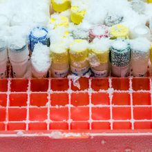 Frozen laboratory test tubes in box container in a research lab.