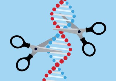 Two scissors cutting separate strands of a DNA molecule.