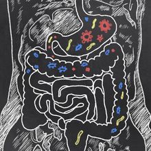 illustration of colorful microbes inside a person's stomach and intestines