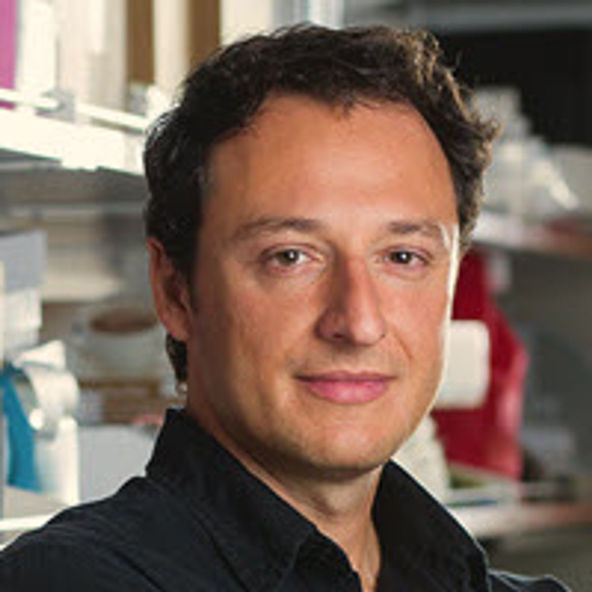 Alysson R. Muotri, PhD