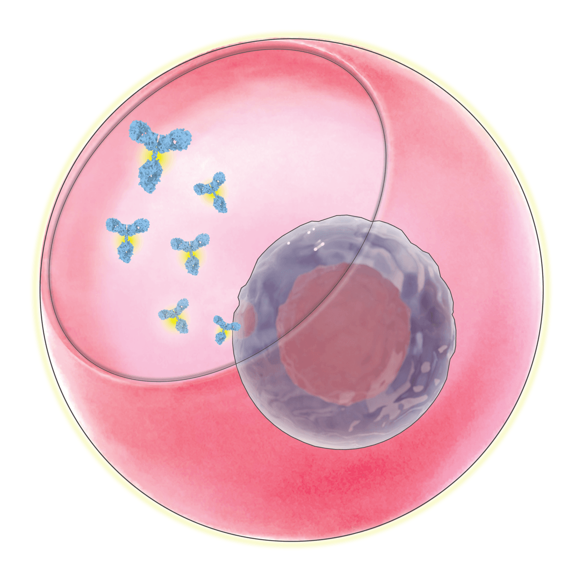 A pink, bowl-shaped nanovial is lined with blue antibodies and contains a single purple cell.