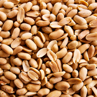 peanut allergy anaphylaxis oit oral immunotherapy