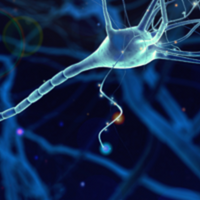 Gaining Biological Insights into Brain Development Using Single Cell Technologies